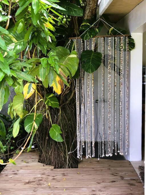 Bungalow Tiarii, Avec Acces Direct A Une Plage Privee Tevaitoa Ngoại thất bức ảnh