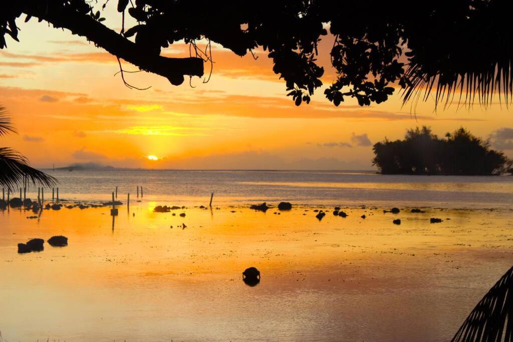 Bungalow Tiarii, Avec Acces Direct A Une Plage Privee Tevaitoa Ngoại thất bức ảnh
